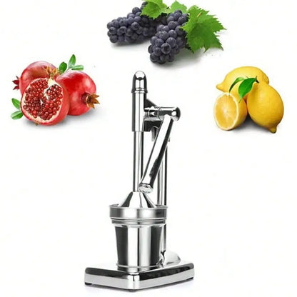Manual Stainless Steel Fruit Press