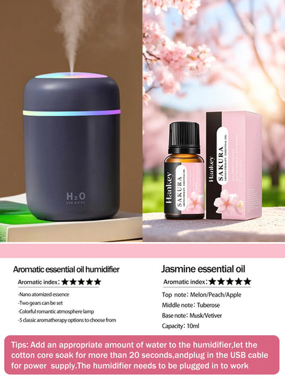 300ml Aromatherapy Diffuser And Humidifier