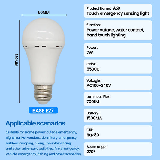 LED Rechargeable Light Bulb