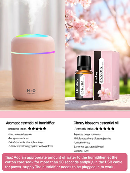 300ml Aromatherapy Diffuser And Humidifier