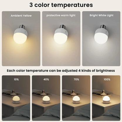 LED Rechargeable Light Bulbs